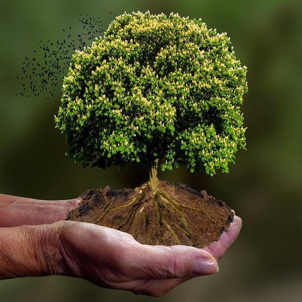Quels sont les objectifs et les missions des organisations climat?