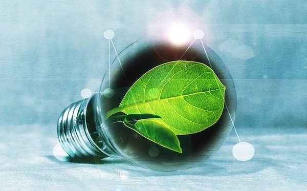 Comment les organisations climatiques travaillent pour sauver la planète ?