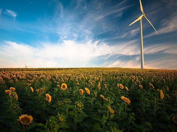 Les outils et méthodes des organisations pour lutter contre le changement climatique