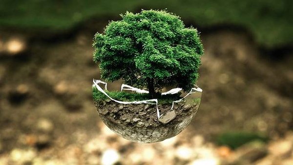 La Politique Climatique : Définition et Importance