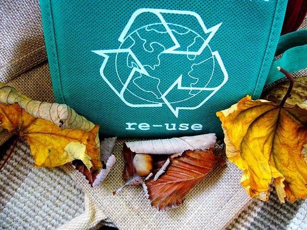 Sensibilisation, mobilisation et législation climatique : comment agir pour l'environnement?