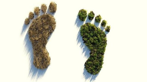 Comment mesurer l'impact environnemental de ses activités ?