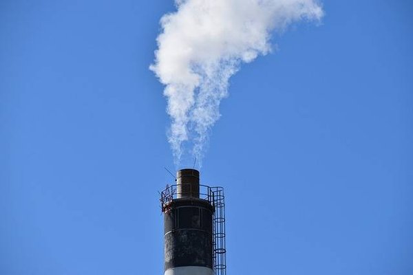 Quels sont les exemples d'entreprises qui ont réussi leur transition écologique?