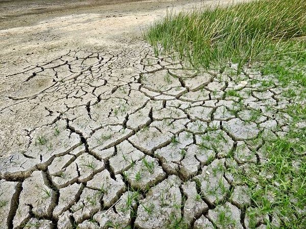 https://objectifclimat.org/