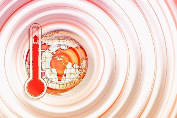 Quel est le rôle des organisations internationales dans la régulation du climat ?