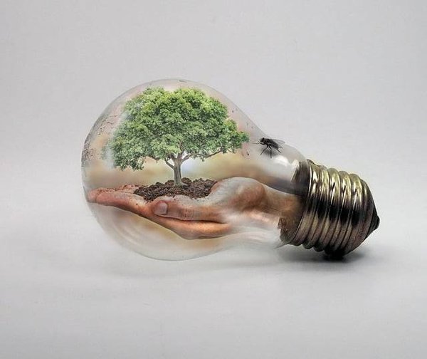 Comment interpeller les élus sur le climat et faire bouger les choses ?