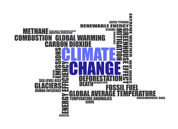 Les technologies innovantes pour lutter contre le changement climatique