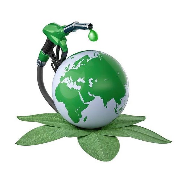 Découvrez les principales sources d'énergie verte